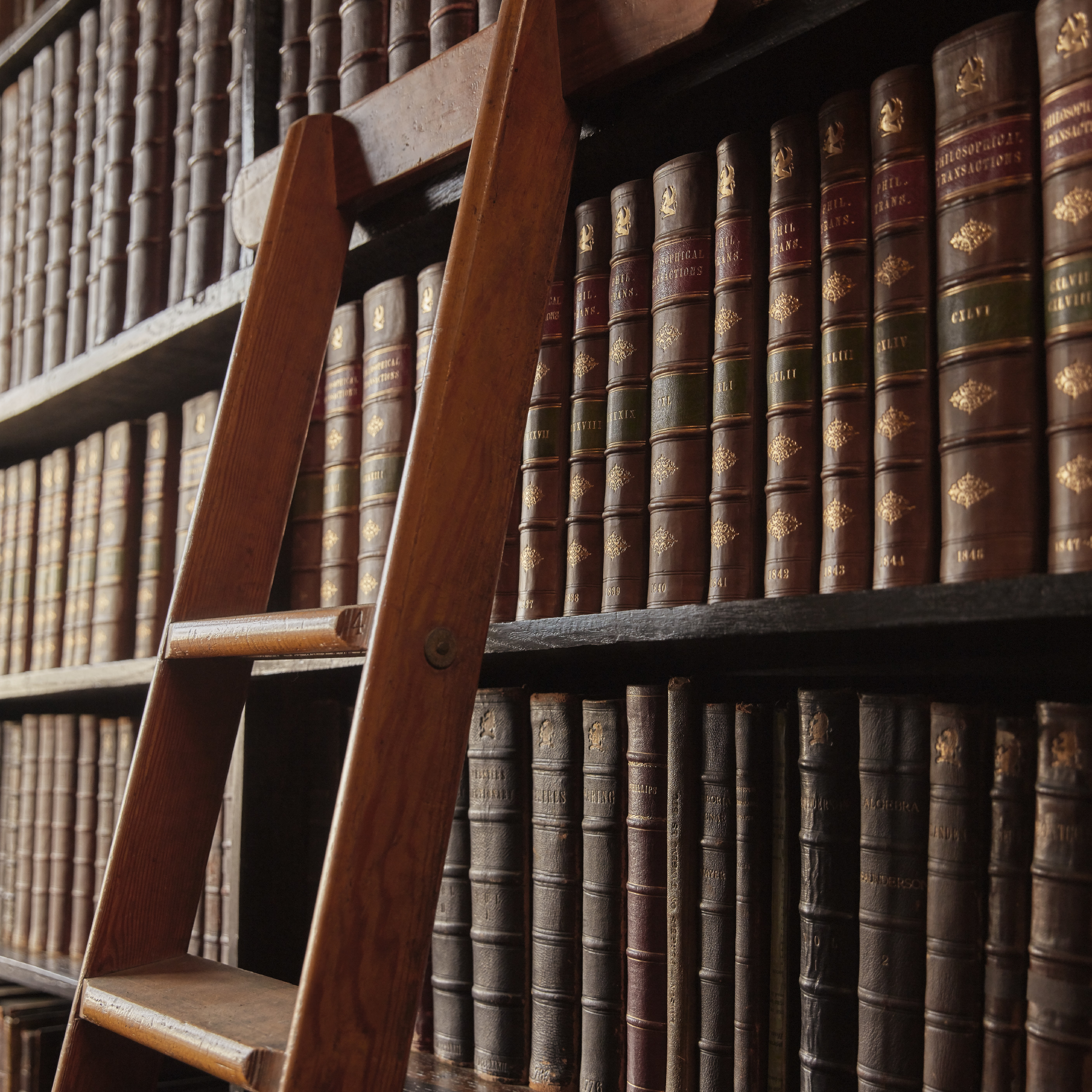 Whispers in the Libary
