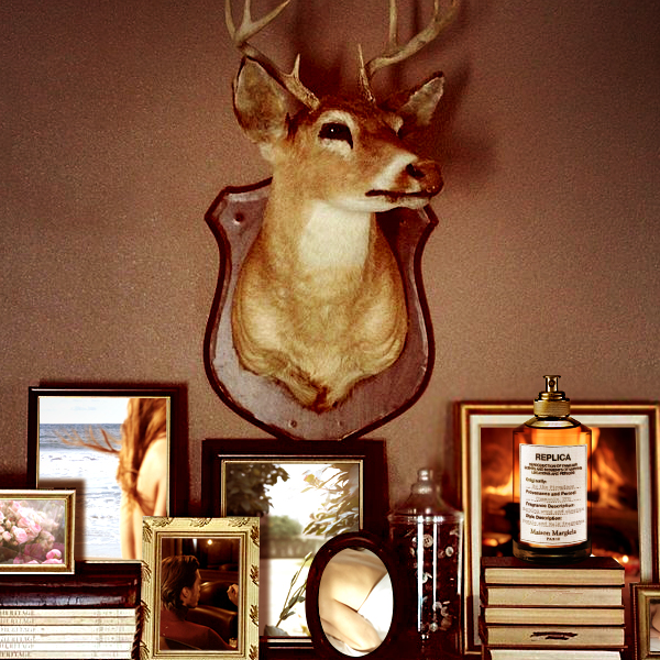 By The Fireplace By The Fireplace